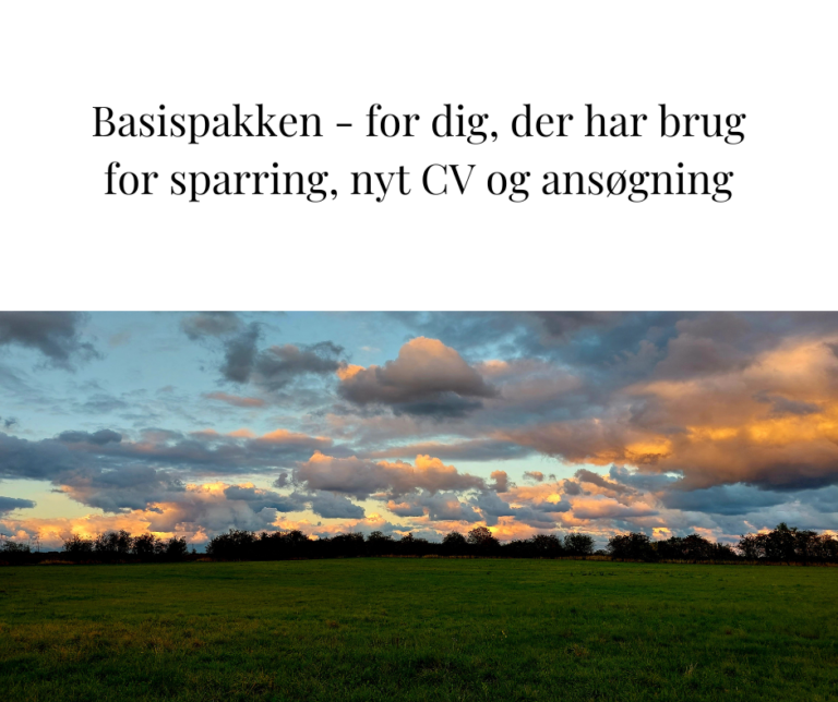 Kickstart Din Karriere Basis pakken foto karussel