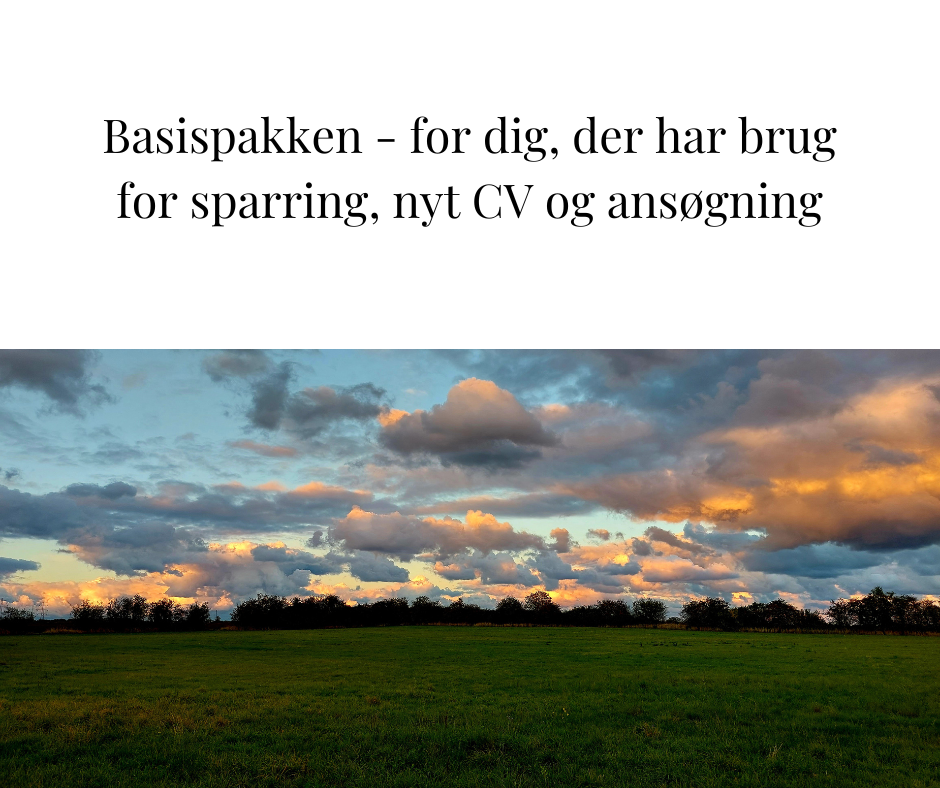 Kickstart Din Karriere Basis pakken foto karussel