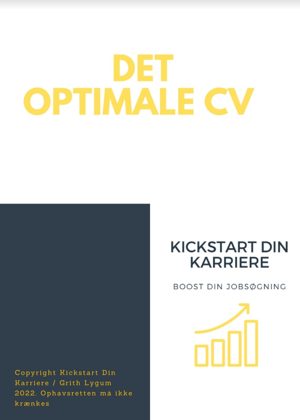 Det optimale CV