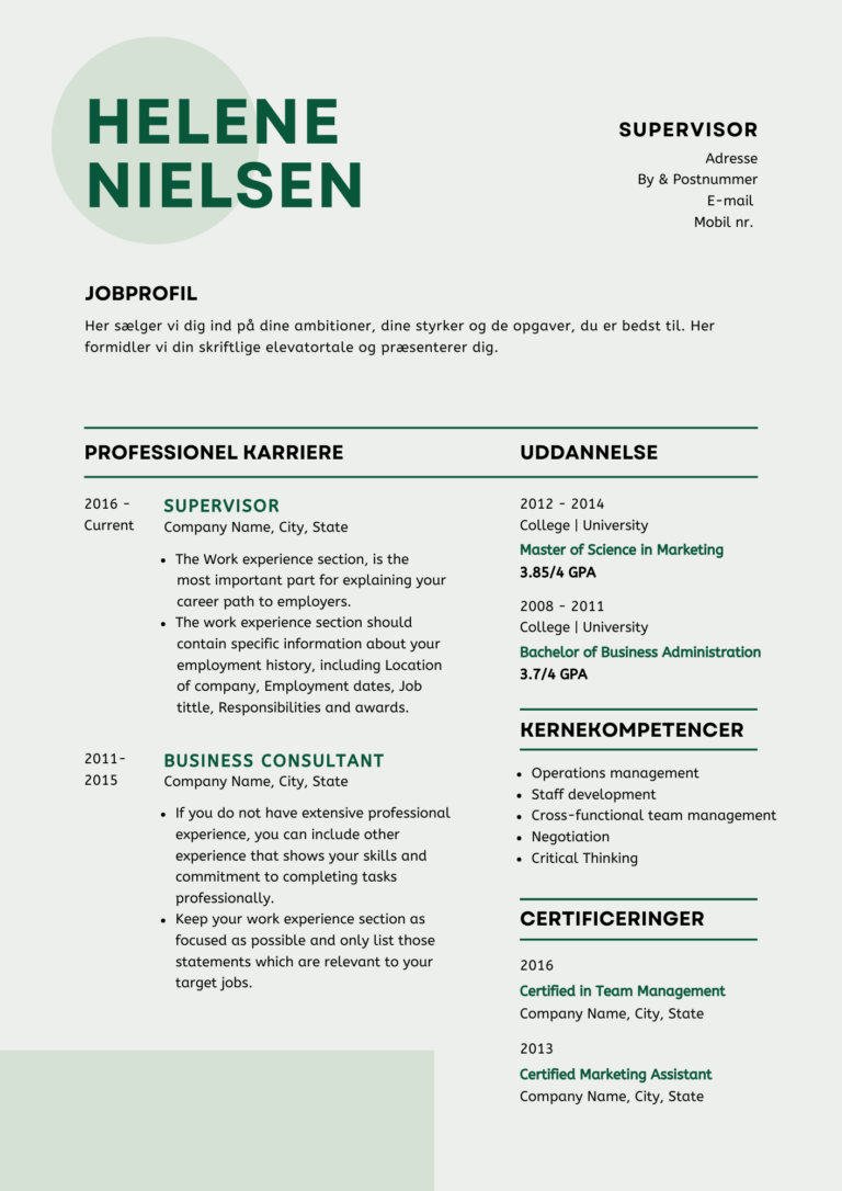 Green Professional Resume for Supervisor
