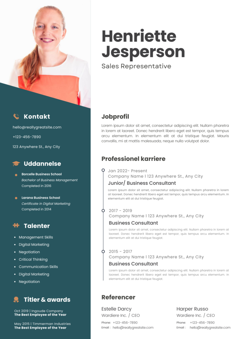 Professional CV Resume